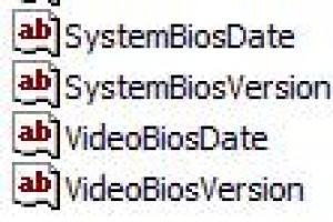 Odczytywanie z rejestru informacji o BIOS-ie