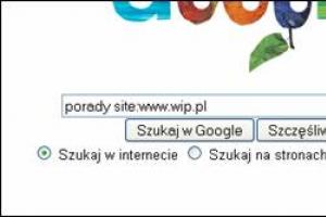 Przeszukiwanie zawartości wybranej witryny z wykorzystaniem wyszukiwarki Google