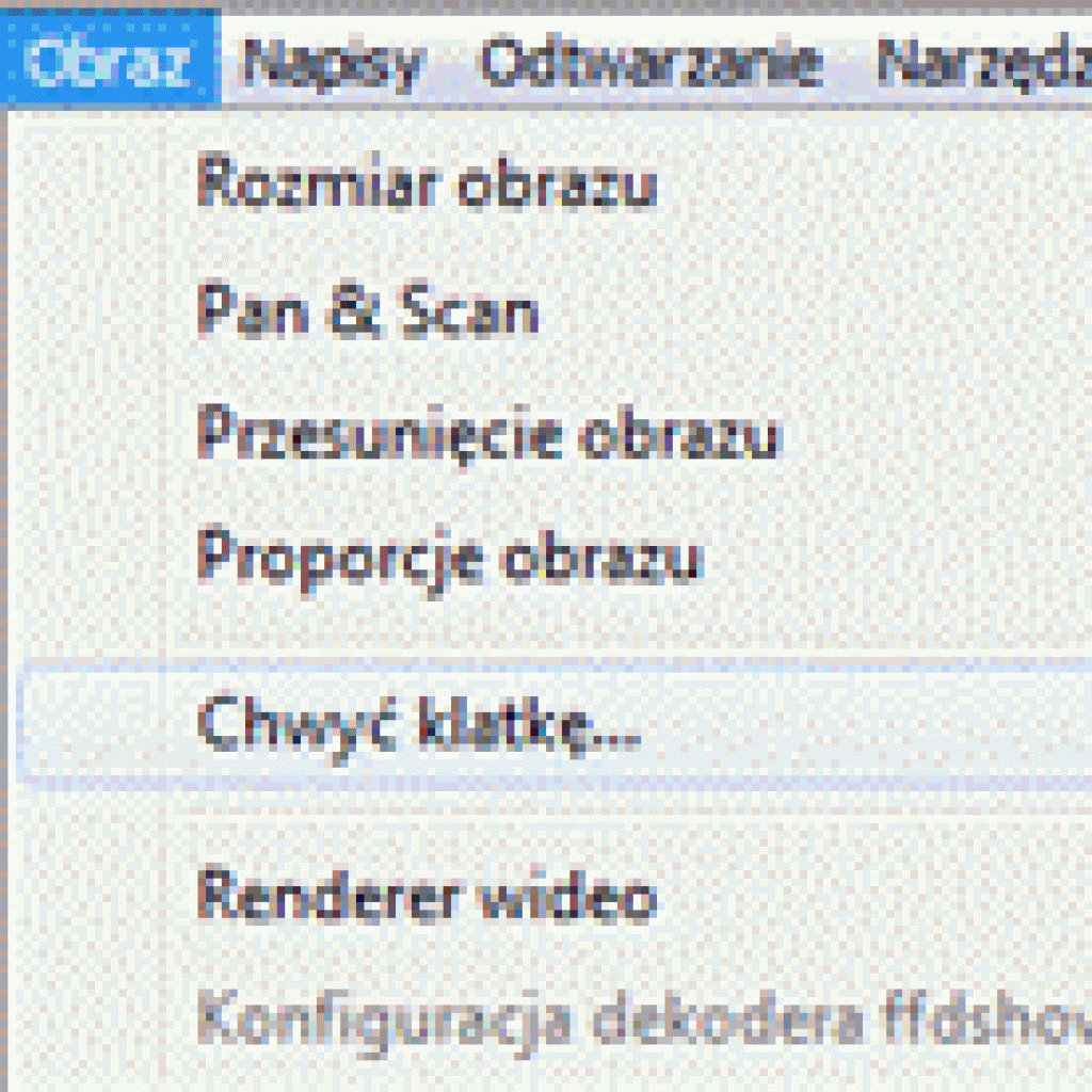 Bestplayer: zapisanie pojedynczej klatki