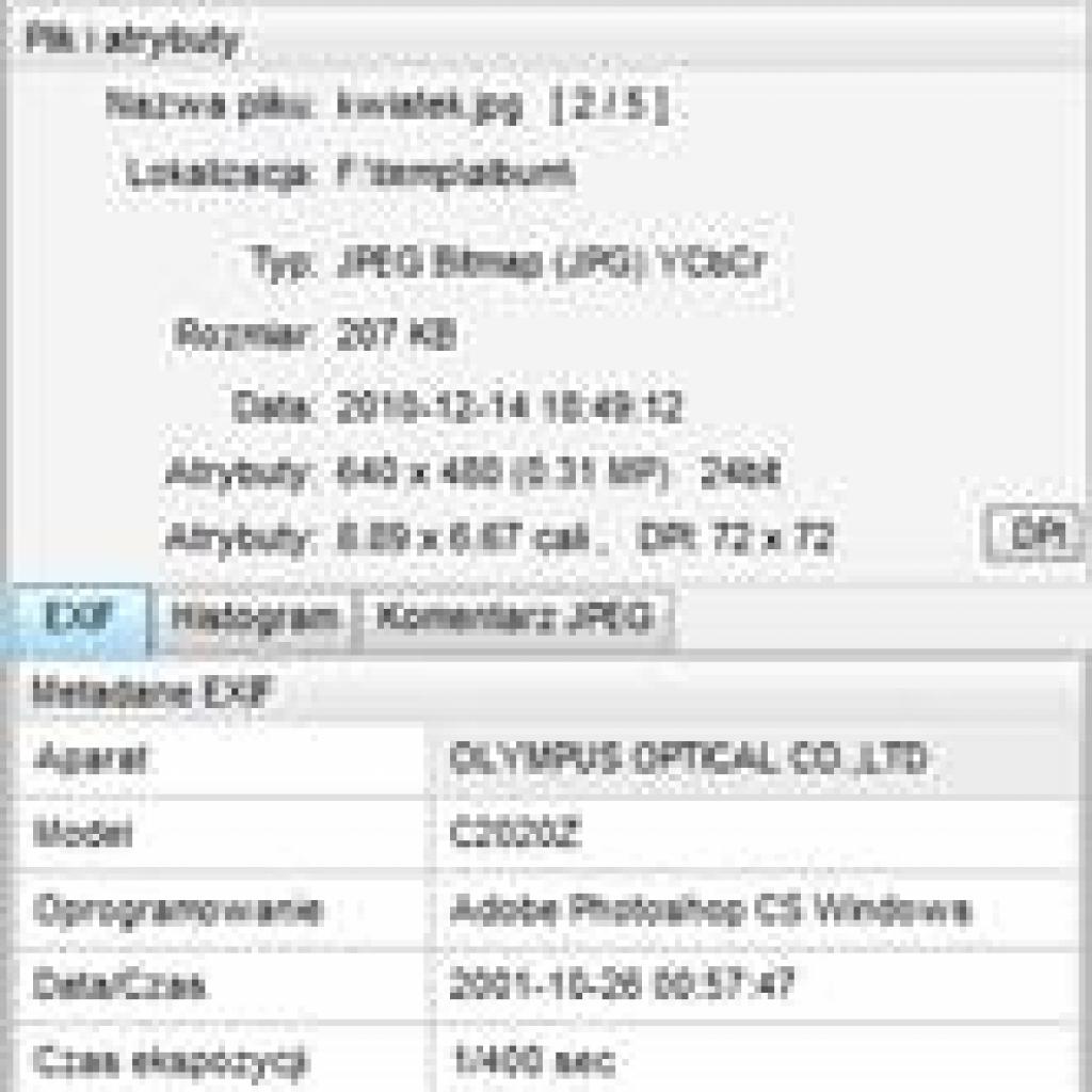 Szczegółowe informacje o obrazie w FastStone Image Viewer