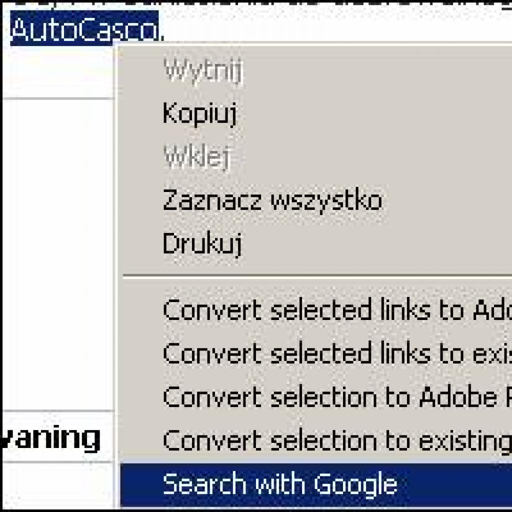Wyszukiwanie w Google z poziomu menu kontekstowego Internet Explorera
