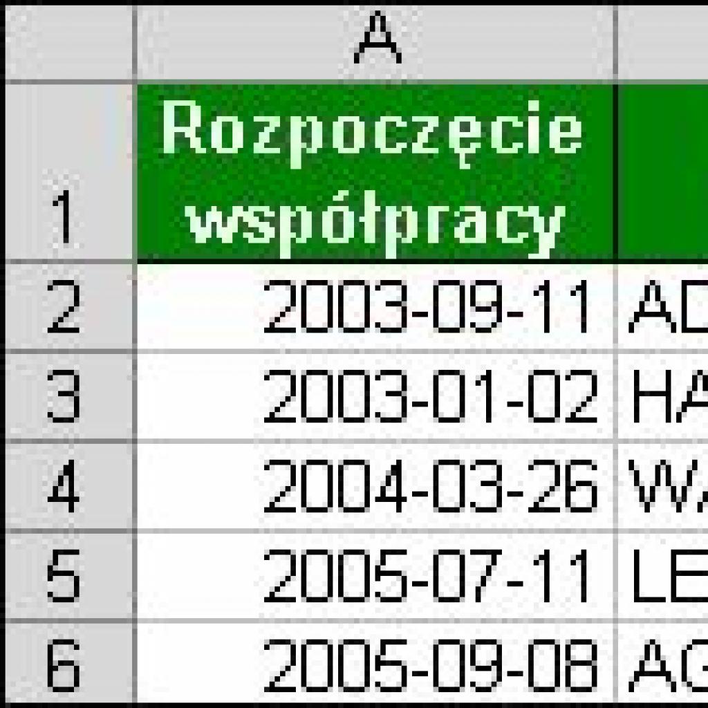 Automatyczne generowanie kodu klienta