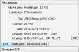 Szczegółowe informacje o obrazie w FastStone Image Viewer