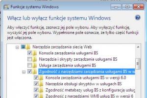 Wyłączanie nieużywanych funkcji w Windows 7