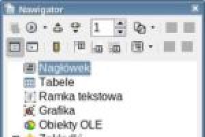 Zarządzanie dokumentem za pomocą Nawigatora