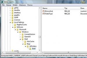 Zmieniające się widoki folderów w Windows Vista