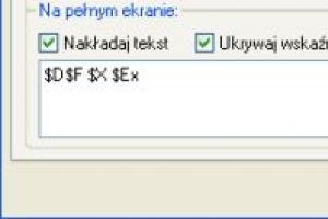 Denerwujący kursor w trybie pełnoekranowym w IrfanView