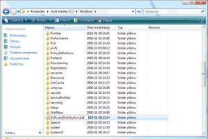 Windows Vista: problem z aktualizacją programu Windows Defender