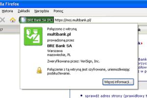 Internetowe oszustwa - phishing