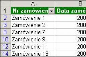 Zapisywanie układu danych w arkuszu