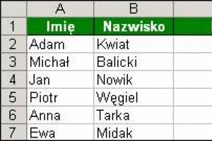 Oznaczanie błędnie wpisanych numerów PESEL