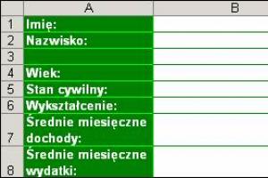 Komunikaty ułatwiające wypełnianie formularzy